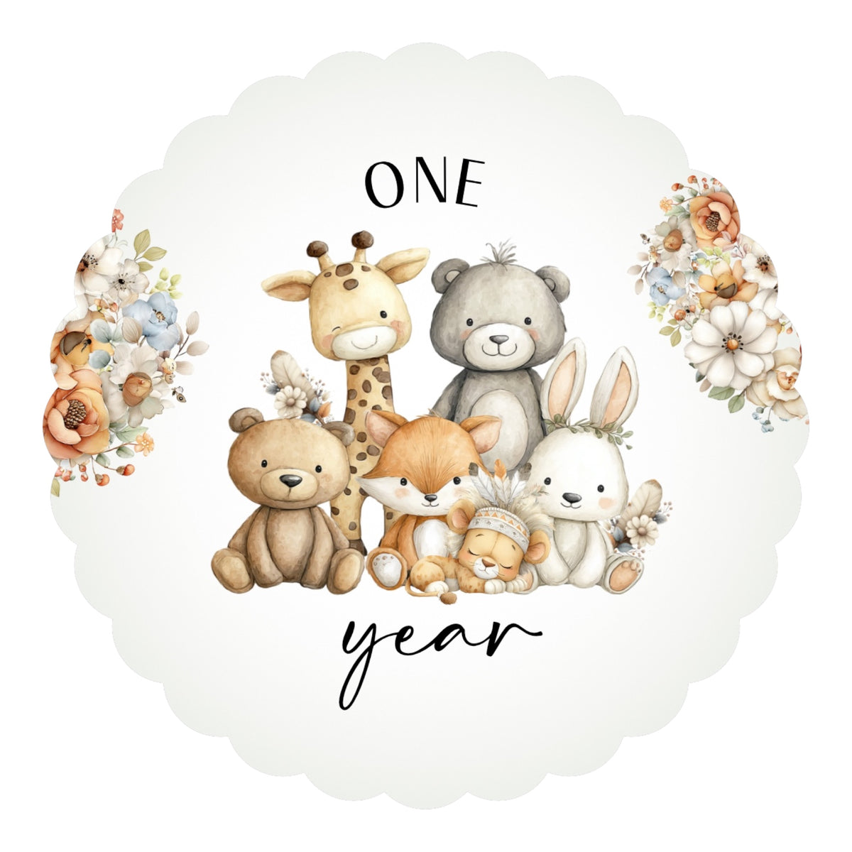 Baby Milestone Discs set of 14