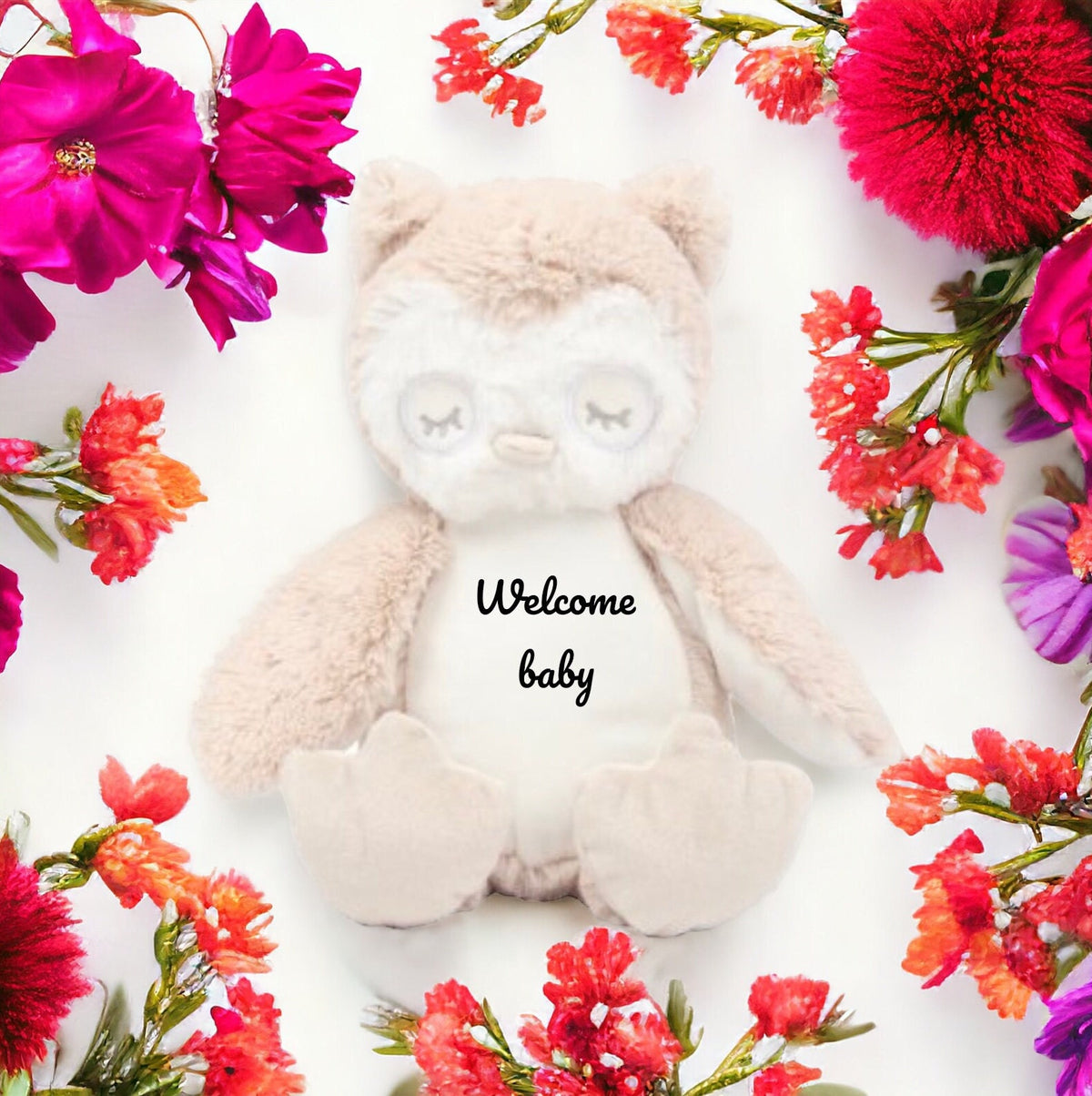 Baby Owl Plush gift / new baby gift / birthday gift / personalised gift
