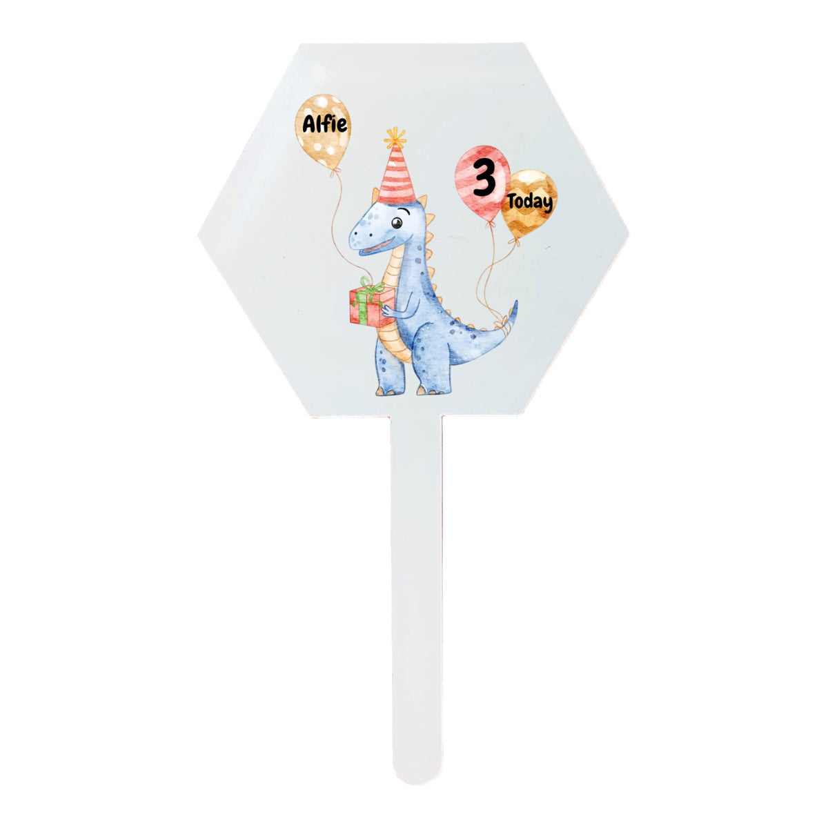 Birthday Dinosaur Delux Set