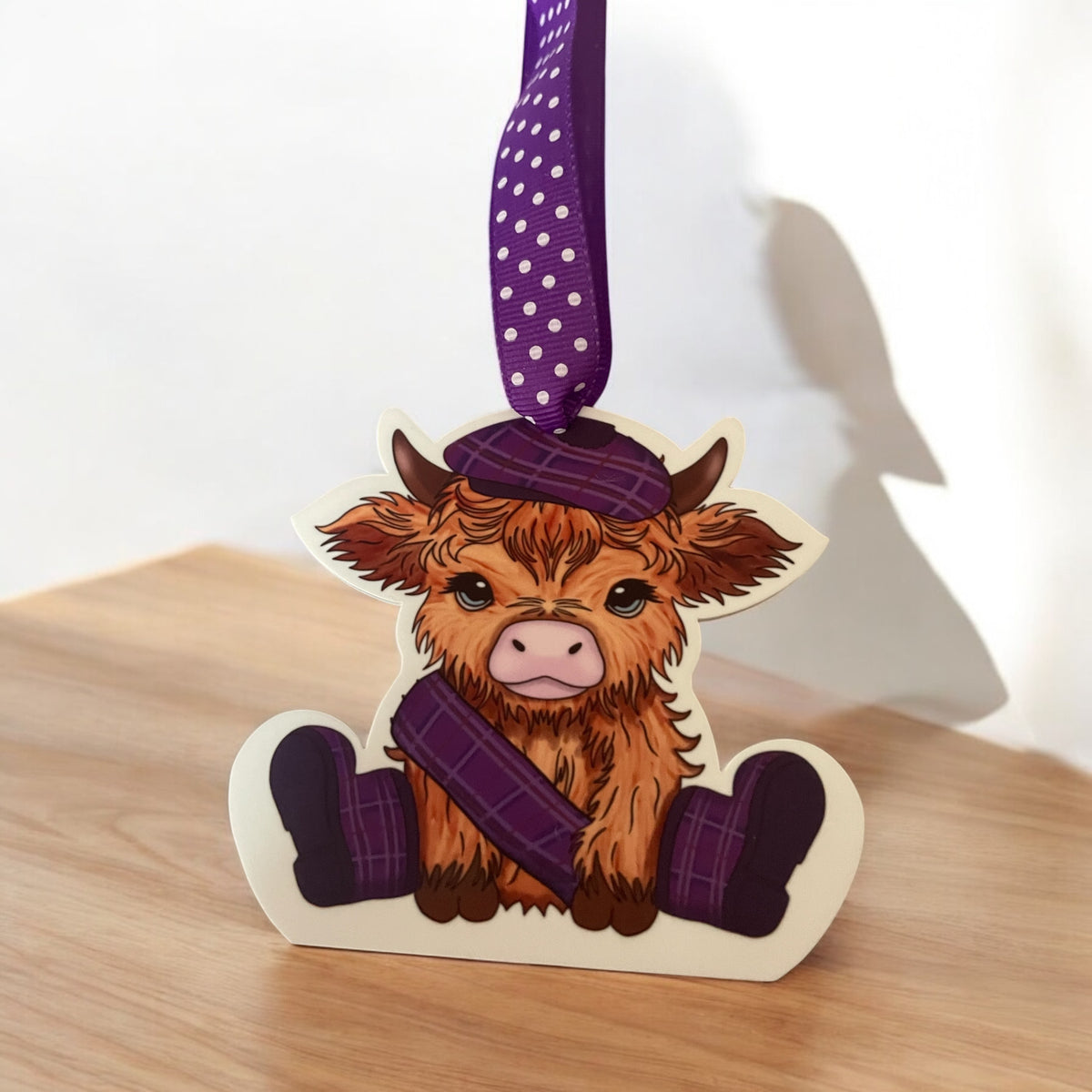 Scotland Highland Cows