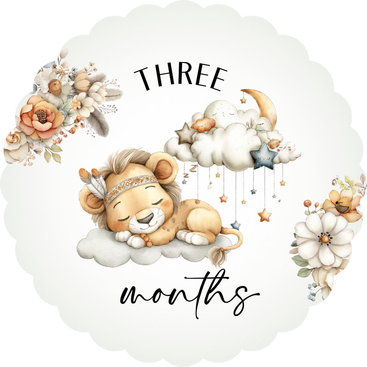 Baby Milestone Discs set of 14