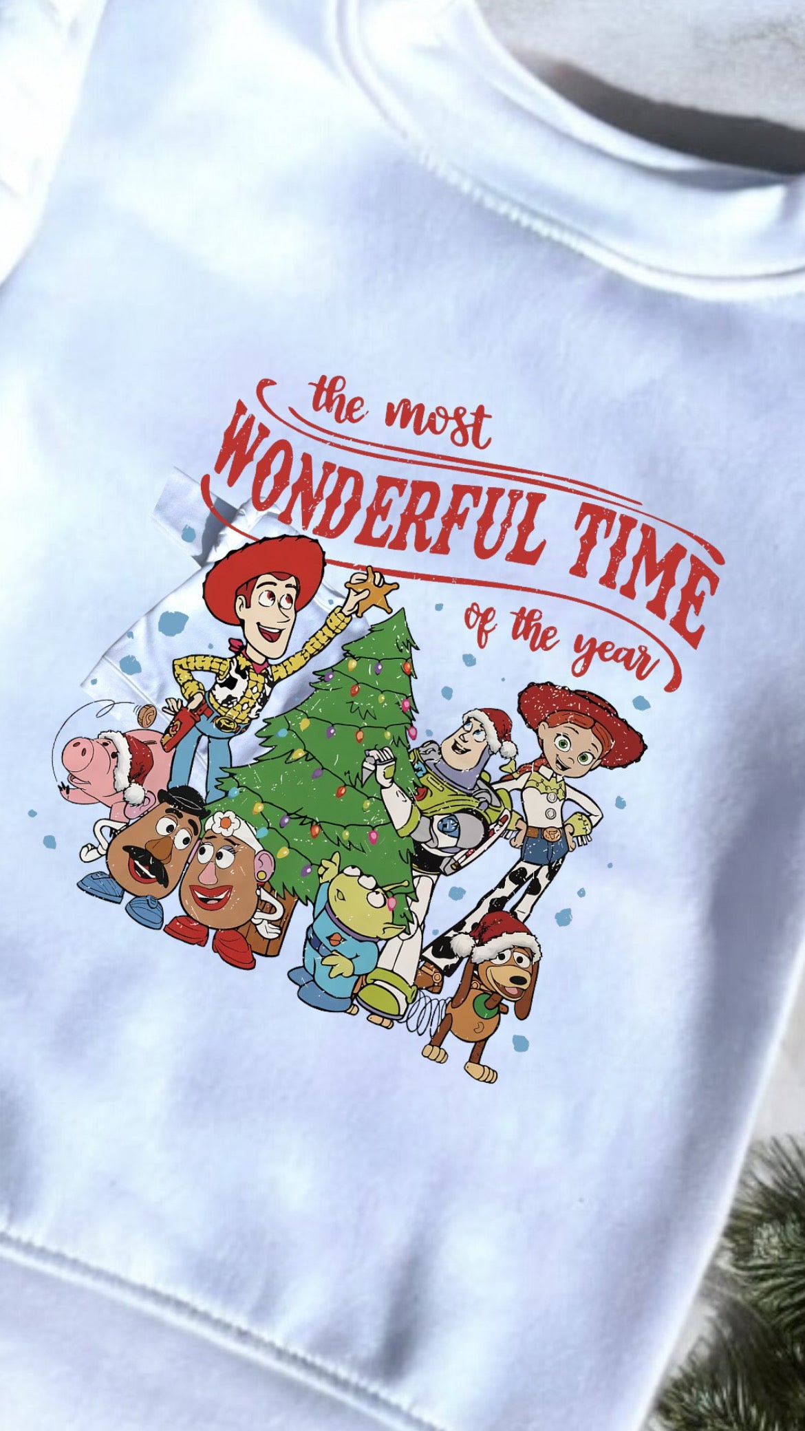 Have a wonderful TIme Sweatshirt Woody and crew