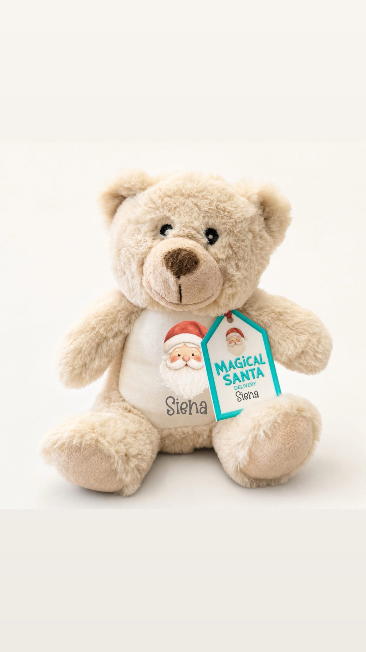 Personalised Bear with 3D acrylic keepsake